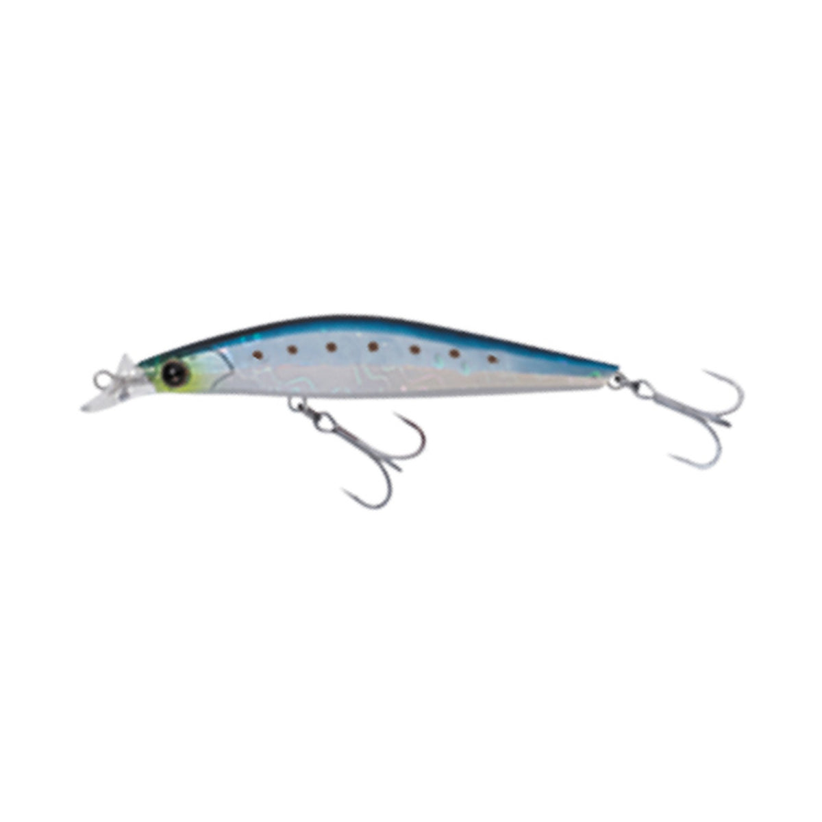 Eclipse Astraia 99F-SSR in 007 Japanese Sardine (Maiwashi) — official Eclipse product photo