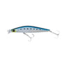 007 Japanese Sardine (Maiwashi)