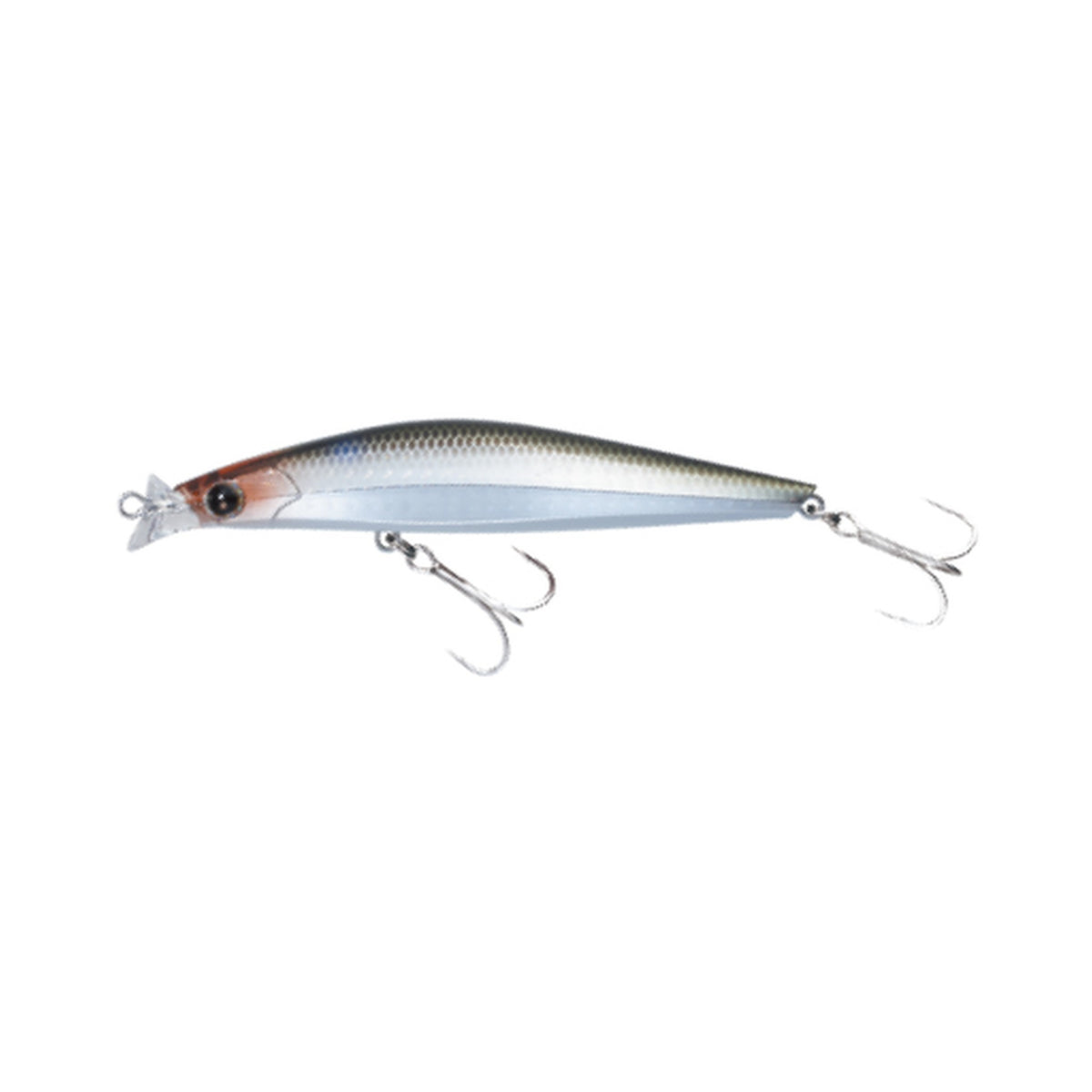 Eclipse Astraia Shallow 99F in 010 Glow / Mullet — official Eclipse product photo