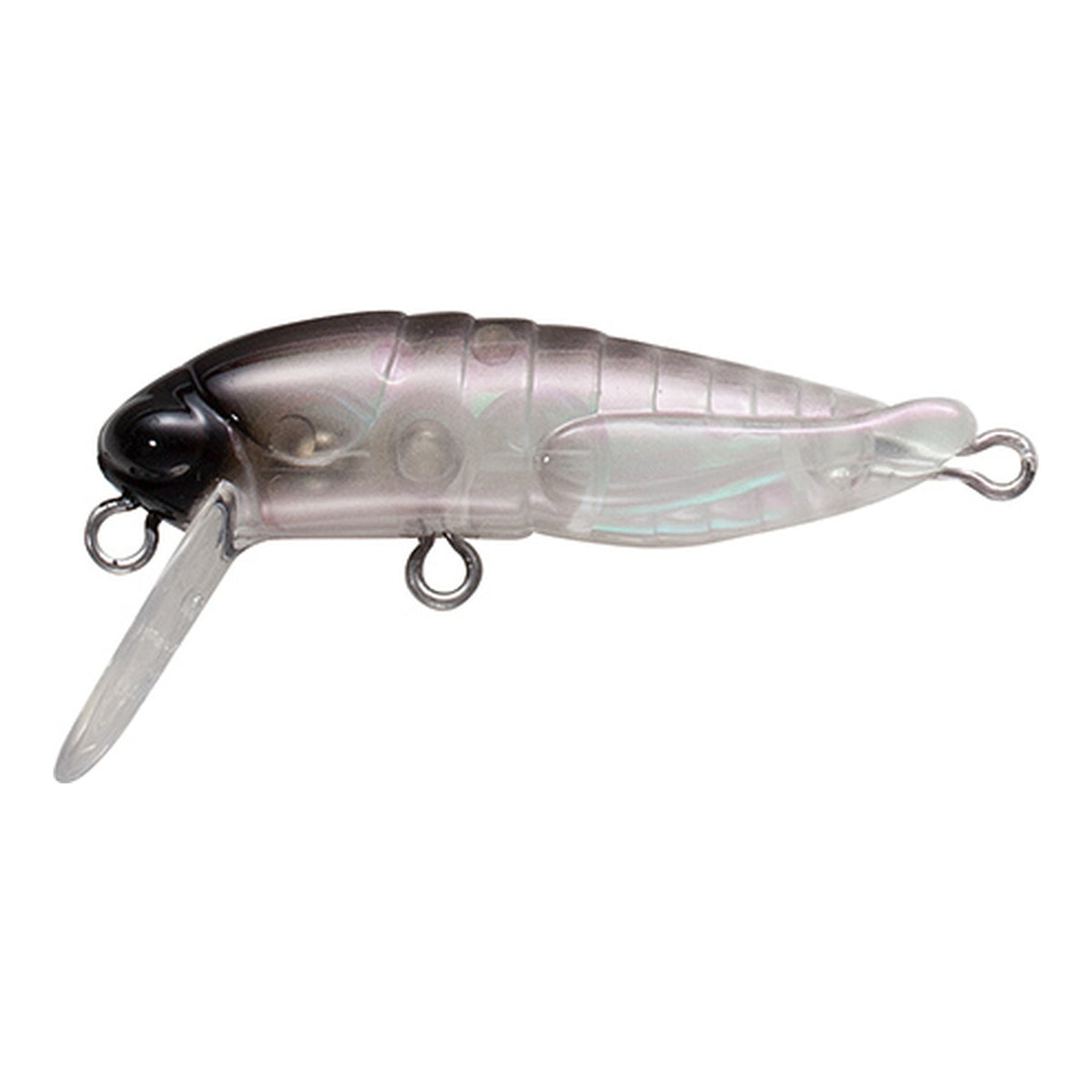 Tackle House Elfin Grasshopper F No.1 Aurora Black