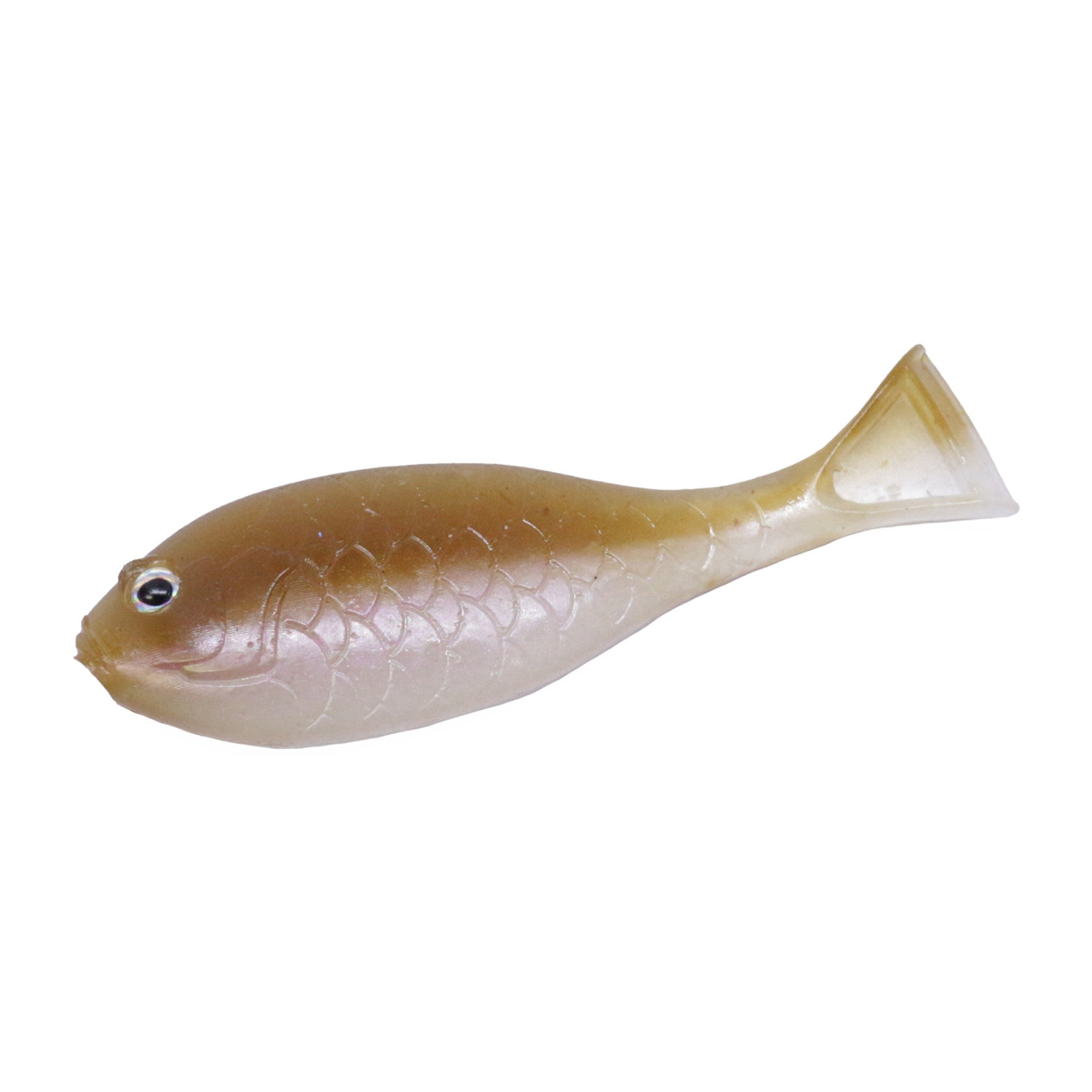 Engine Baby Gill Fin 2in in #02 Deadly Wakasagi (Deadly Smelt) — official Engine product photo