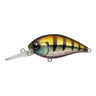 Gill