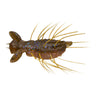 #171 Amber Shrimp