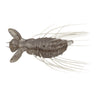 #172 Small Shrimp