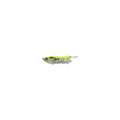 Evergreen Otter Crawler in Skeleton Chart — official Evergreen product photo