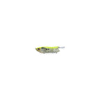 Evergreen Otter Crawler in Skeleton Chart — official Evergreen product photo