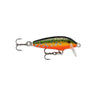 BTR - Brook Trout