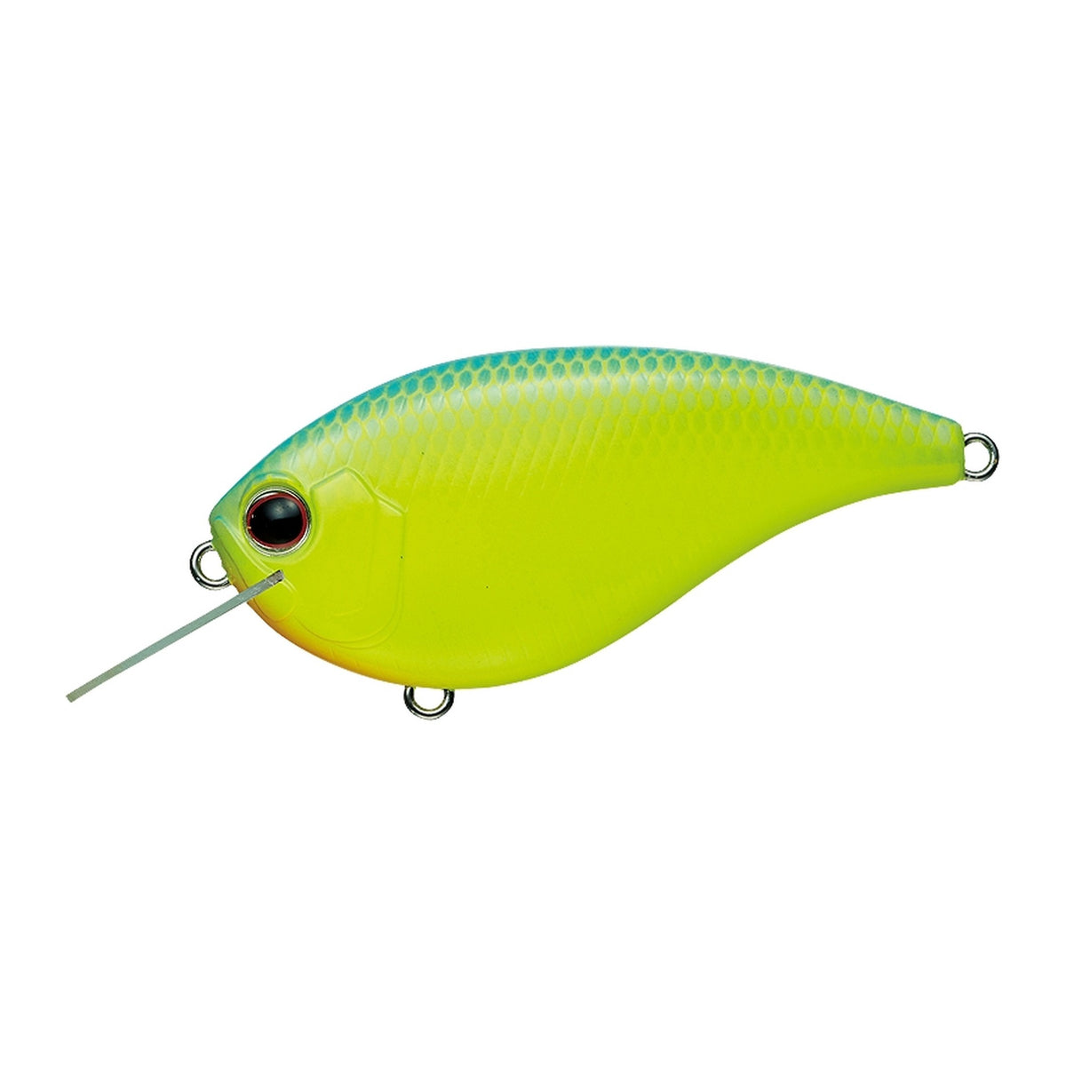 Evergreen Flat Force in Blue Back Chart — official Evergreen product photo