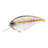 King Shad