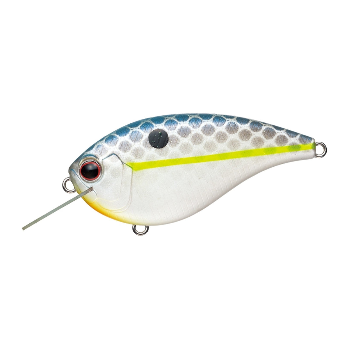 Evergreen Flat Force in Queen Shad — official Evergreen product photo