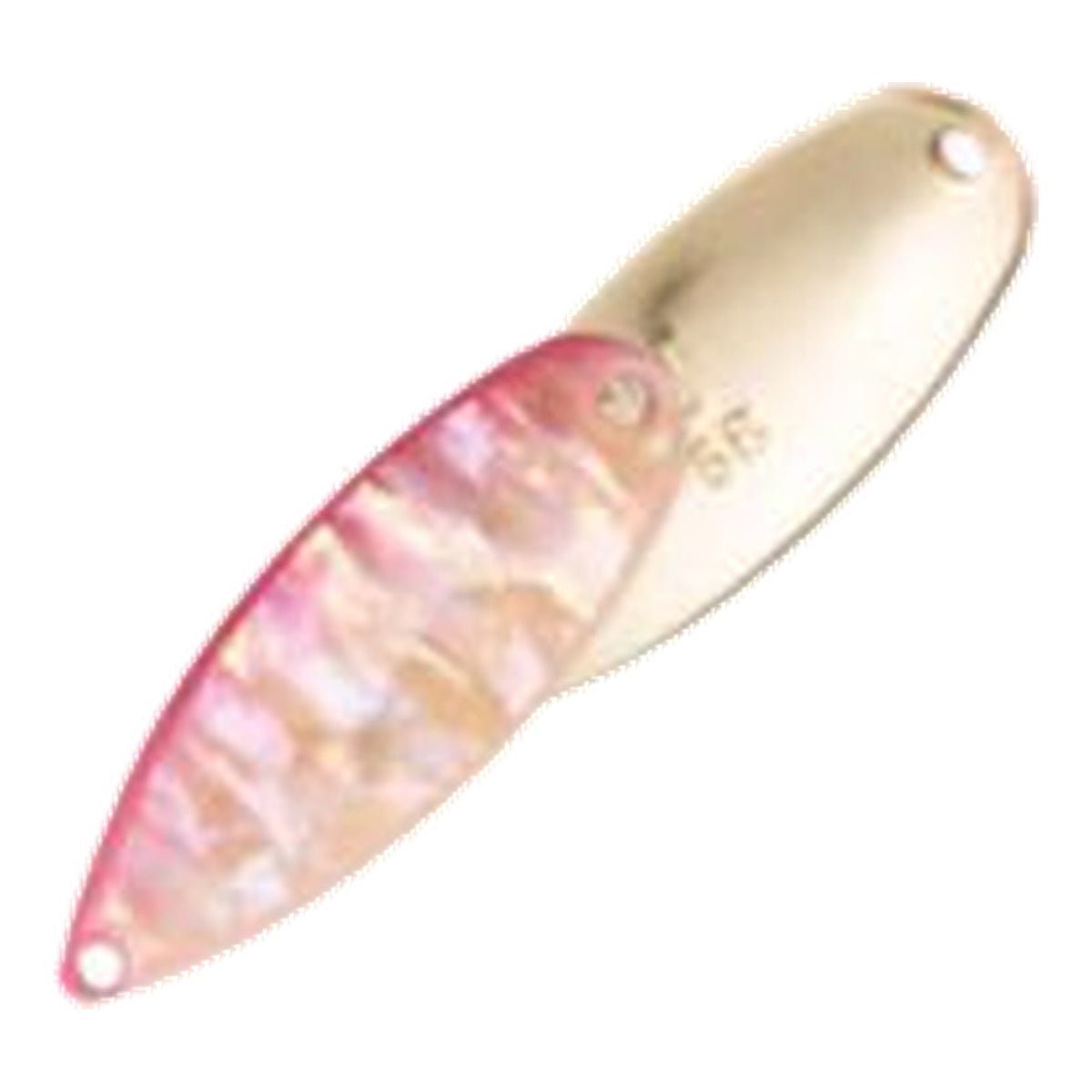 forest-miu-awabi-5g FO-MIUAW5G-07