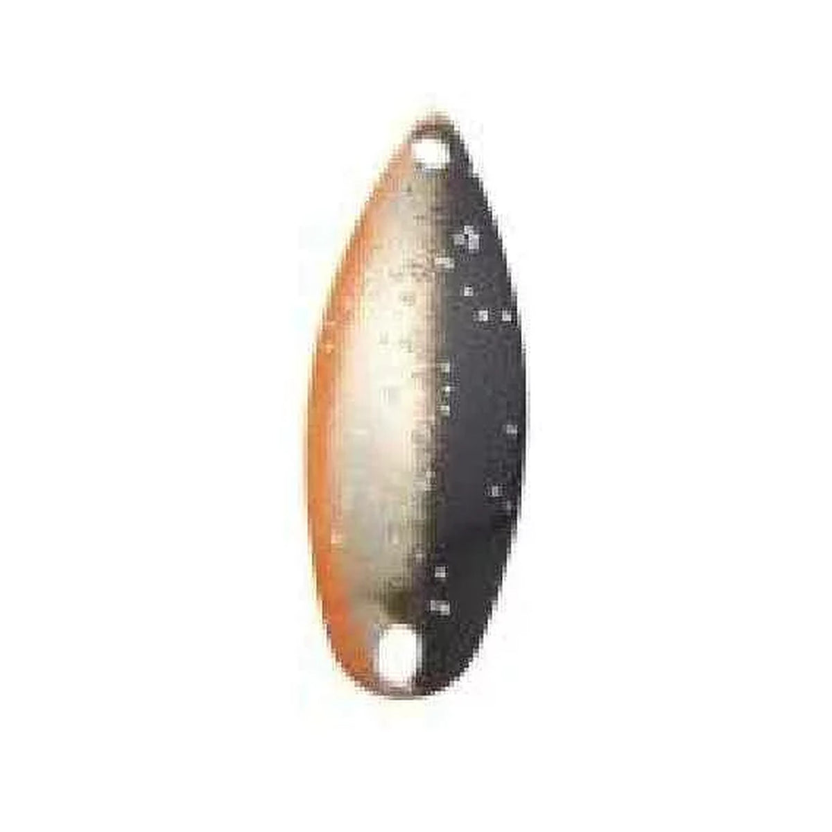 #07 Black-Gold Orange Belly