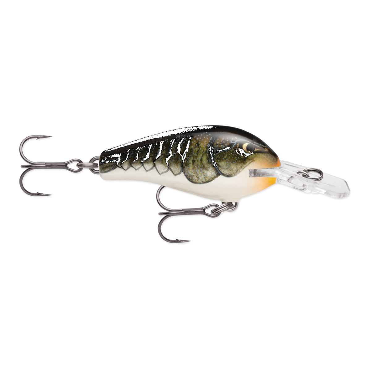 Rapala Fat Rap FR5 - CW