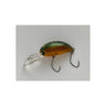 12 - American Shad