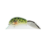Grassroots Redcub - Spotted Frog N