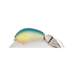 Grassroots Redcub - Bull Bream