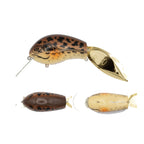Grassroots Redcub Bone - #041 Mud Spotted Frog N