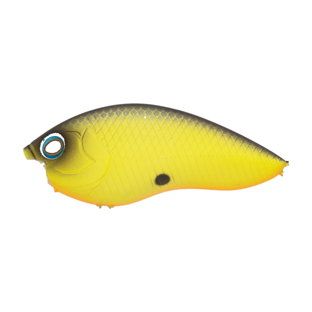 Grassroots RUNBBIT Bone - #030 Black Chartreuse