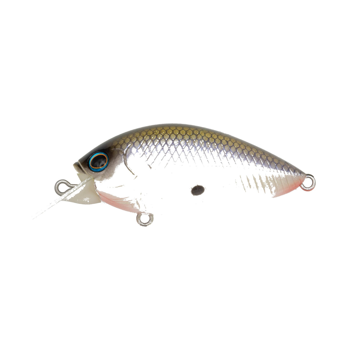 Grassroots RUNBBIT Bone #032 G Shad