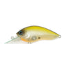 #007 Visible Shad G
