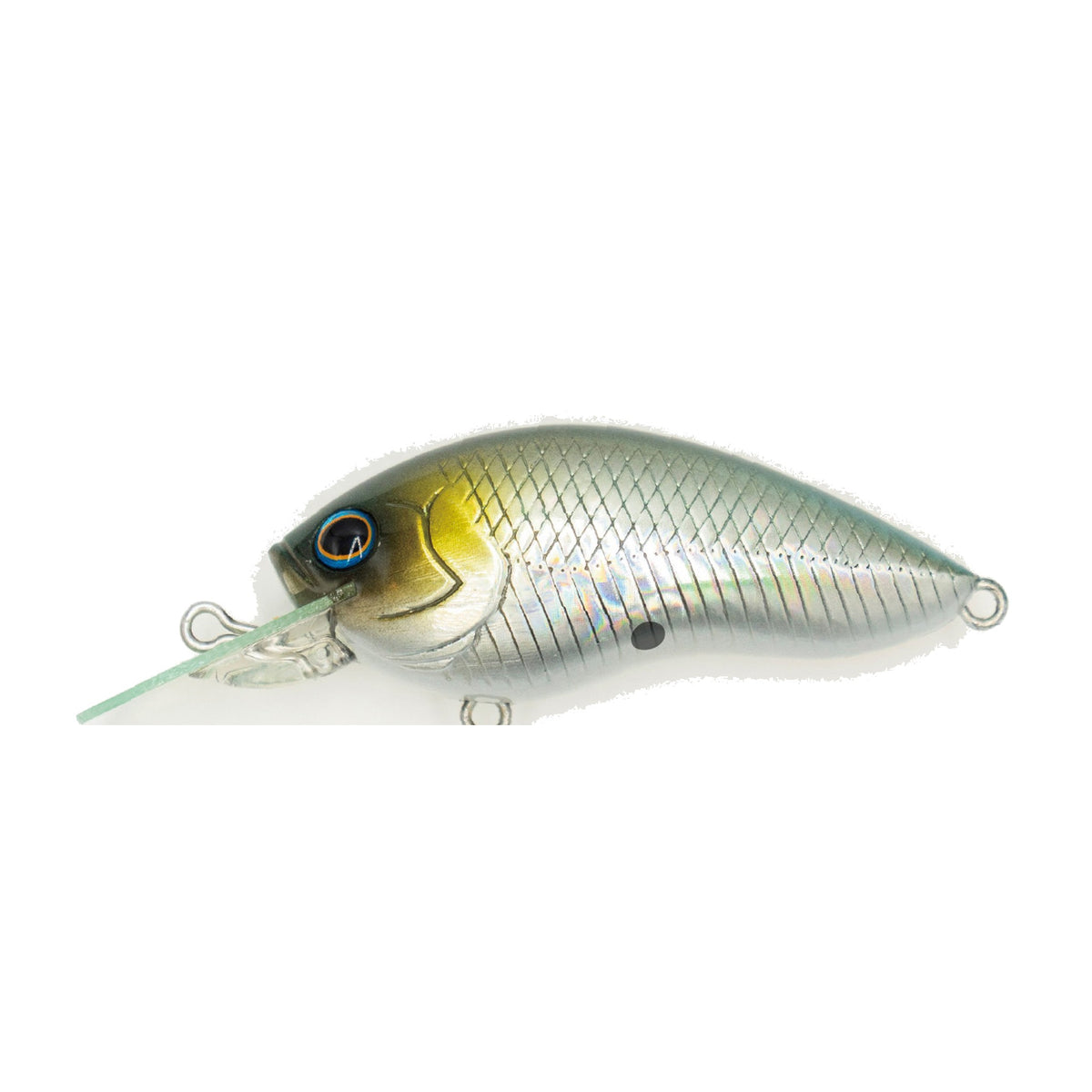 Grassroots RUNBBIT MR - Gizzard Shad H