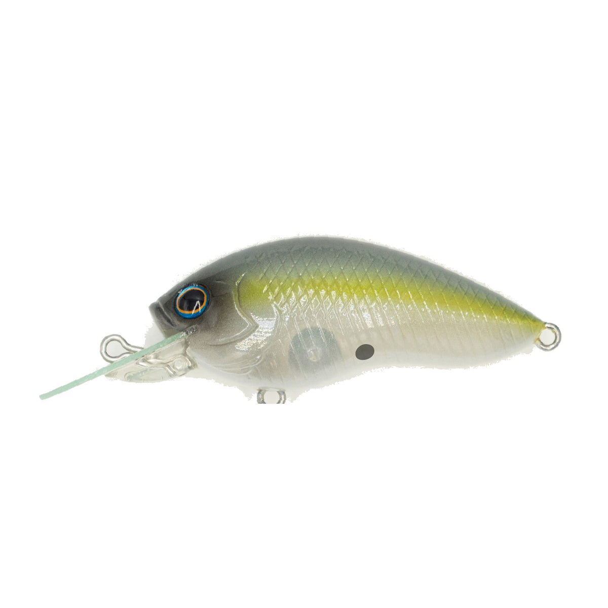 Grassroots RUNBBIT MR - Sexy Shad G
