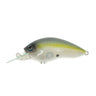 #029 Sexy Shad G