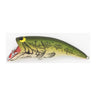#003 Sunshine Largemouth Bass N