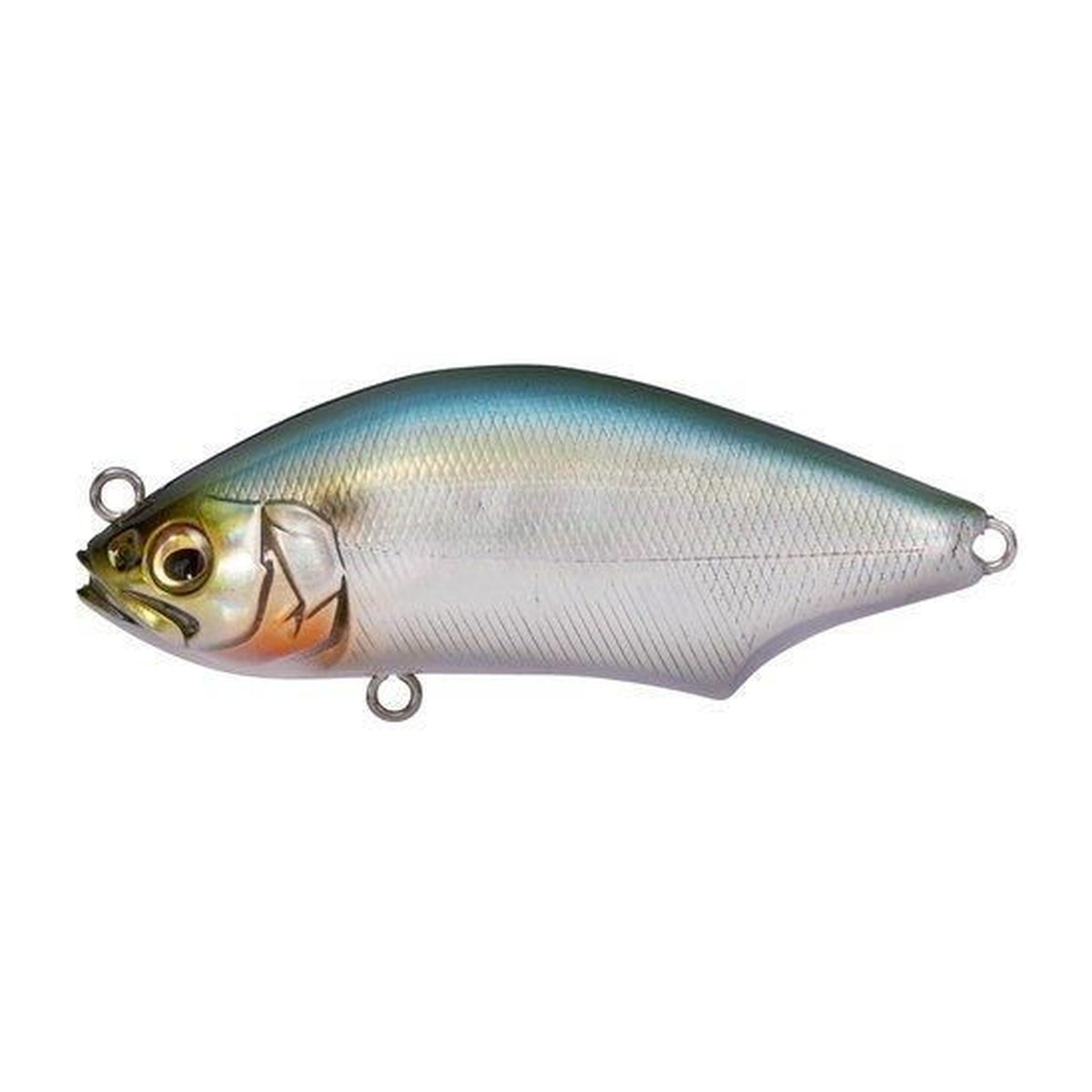 Megabass Hadara Trap in SH Sappa — official product photo