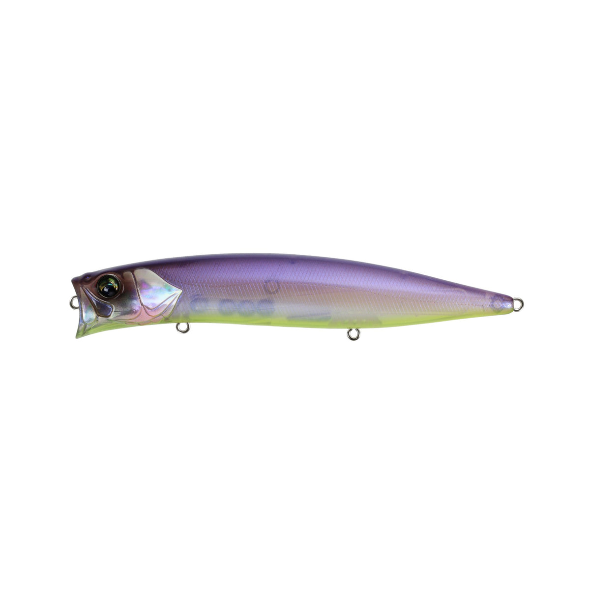C-377 Sexy Neon