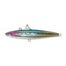 PM-17 Rainbow Iwashi