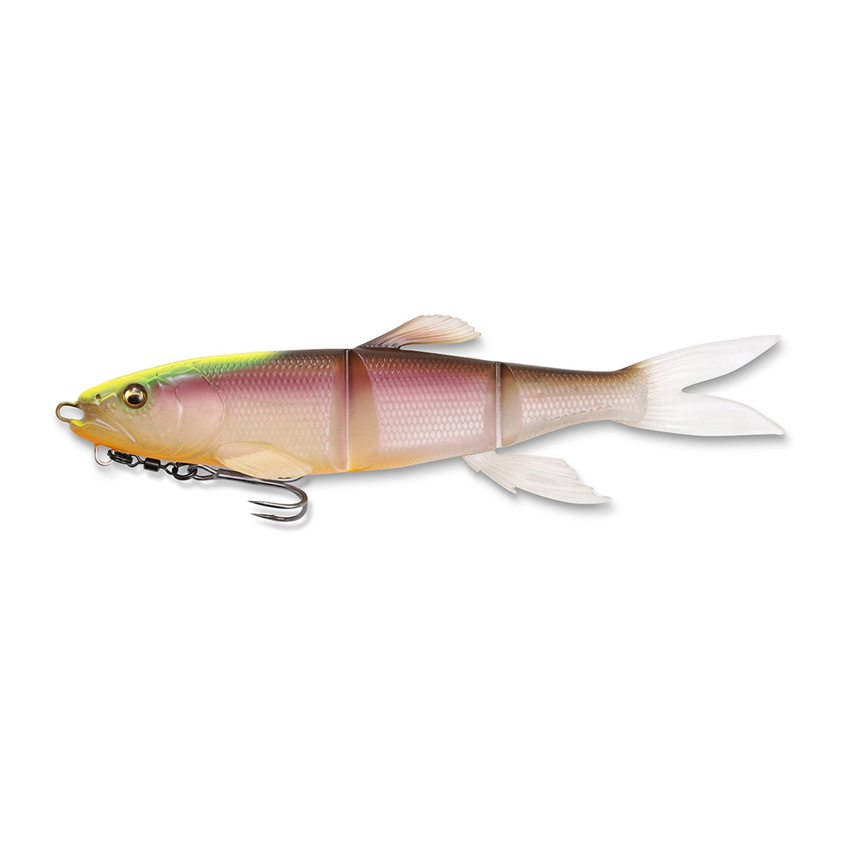 Megabass Magdraft Hasu Raver in Ghost Chart Back — official product photo