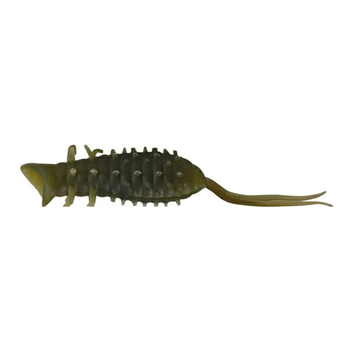 Hideup Coike Popper Frog 125mm #004 Grass Shrimp
