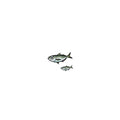 Hisao Design Aji Sticker (Large/Small Set)