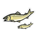 Hisao Design Sweetfish Sticker (Large & Small Set)