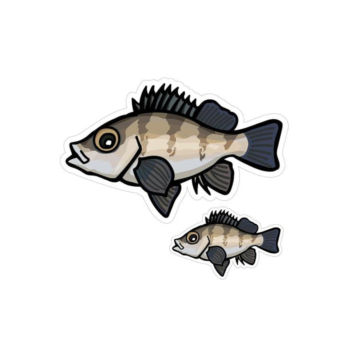 Hisao Design Mebaru Sticker (Large/Small Set)