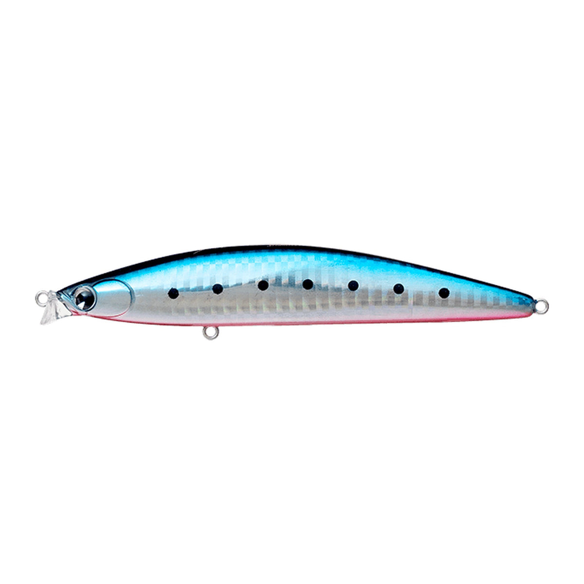 Ima iBORN 118F Shallow in Mako Iwashi — official Ima product photo