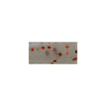 Bait Breath Ika Chu 1.8in in S824 Clear Glow Red — official Bait Breath product photo