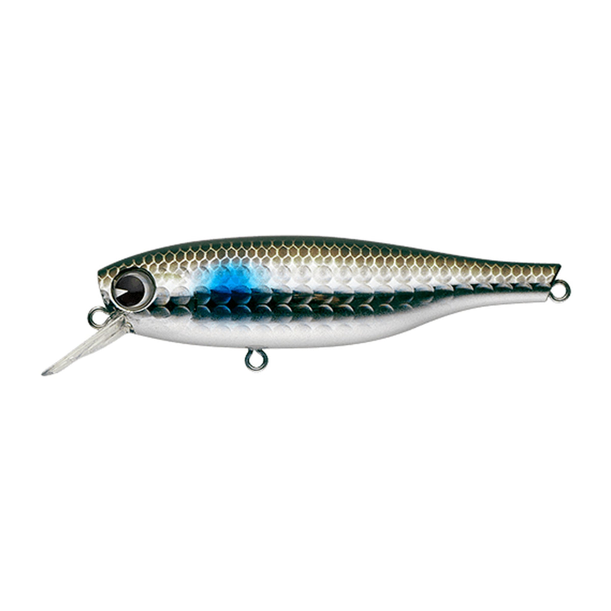 Ima B-Ta 70 in Bora — official Ima product photo