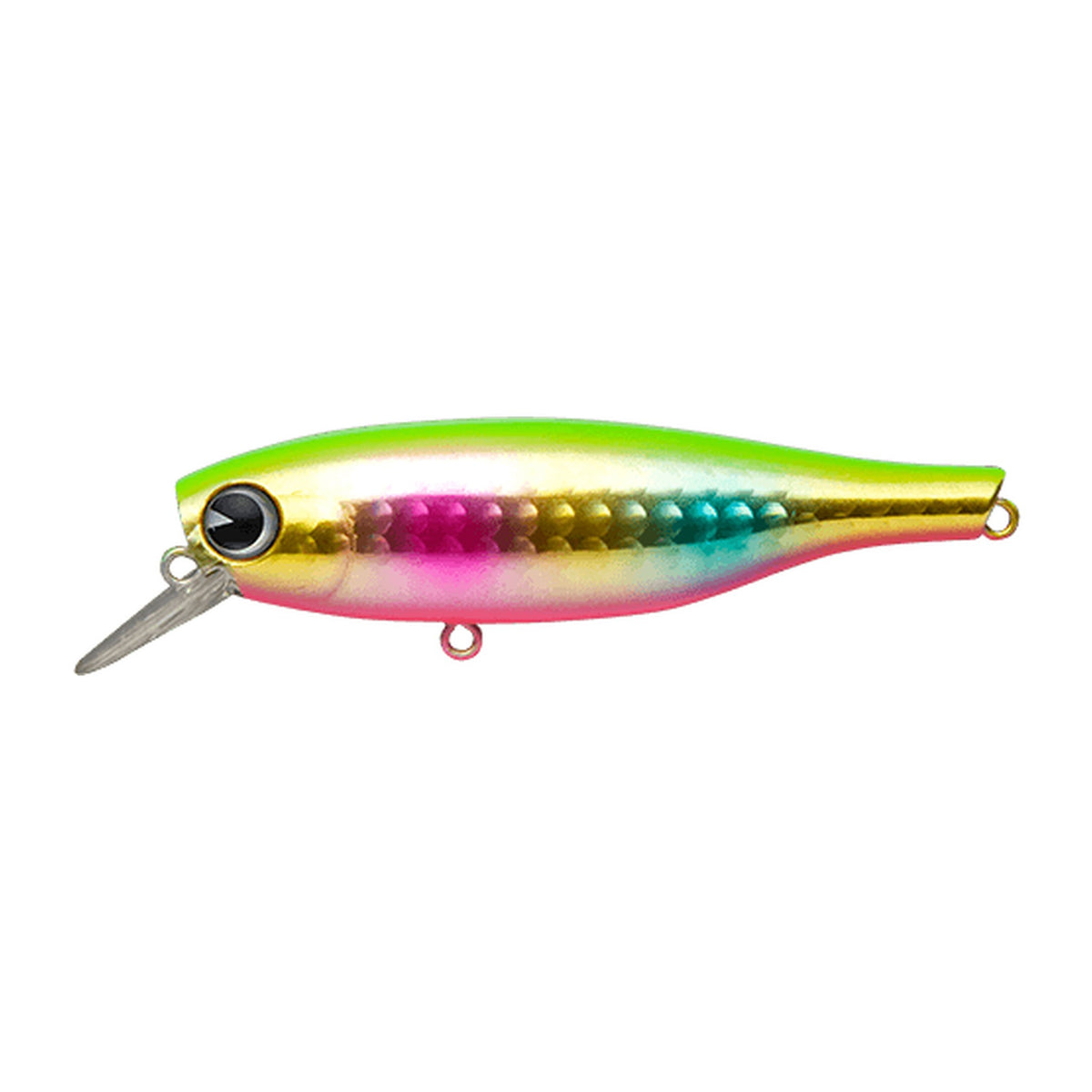 Ima B-Ta 70 in Gyokusai — official Ima product photo