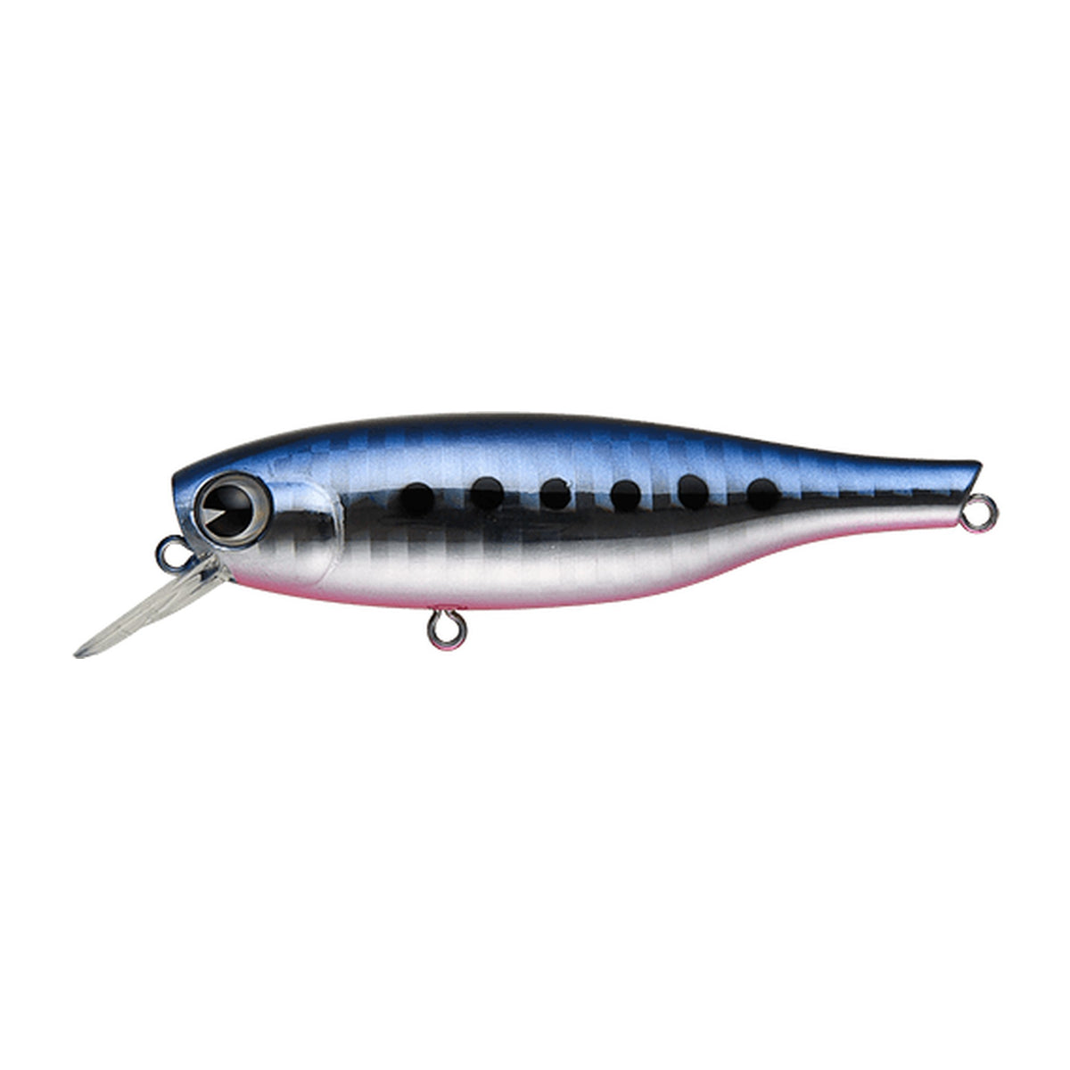 Ima B-Ta 70 in Mako Iwashi — official Ima product photo