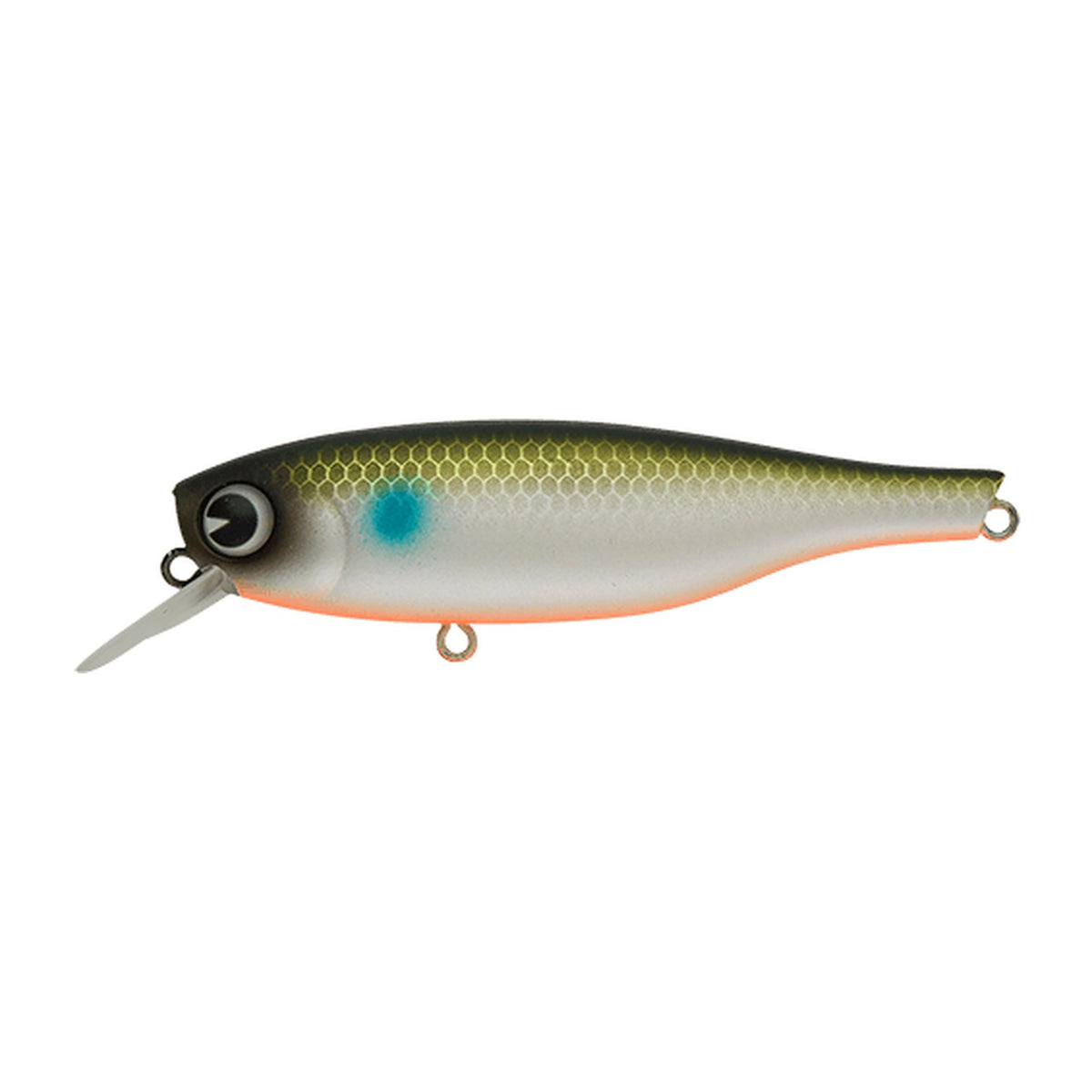 Ima B-Ta 70 in Pearl Bora OB — official Ima product photo