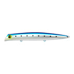 ima Komomo 155 Counter in Umi Bait — official ima product photo