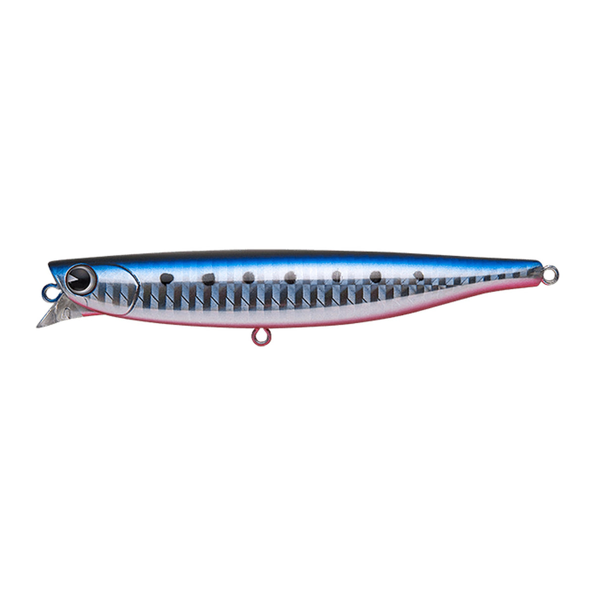 Ima P-ce 100 in Mako Iwashi — official Ima product photo