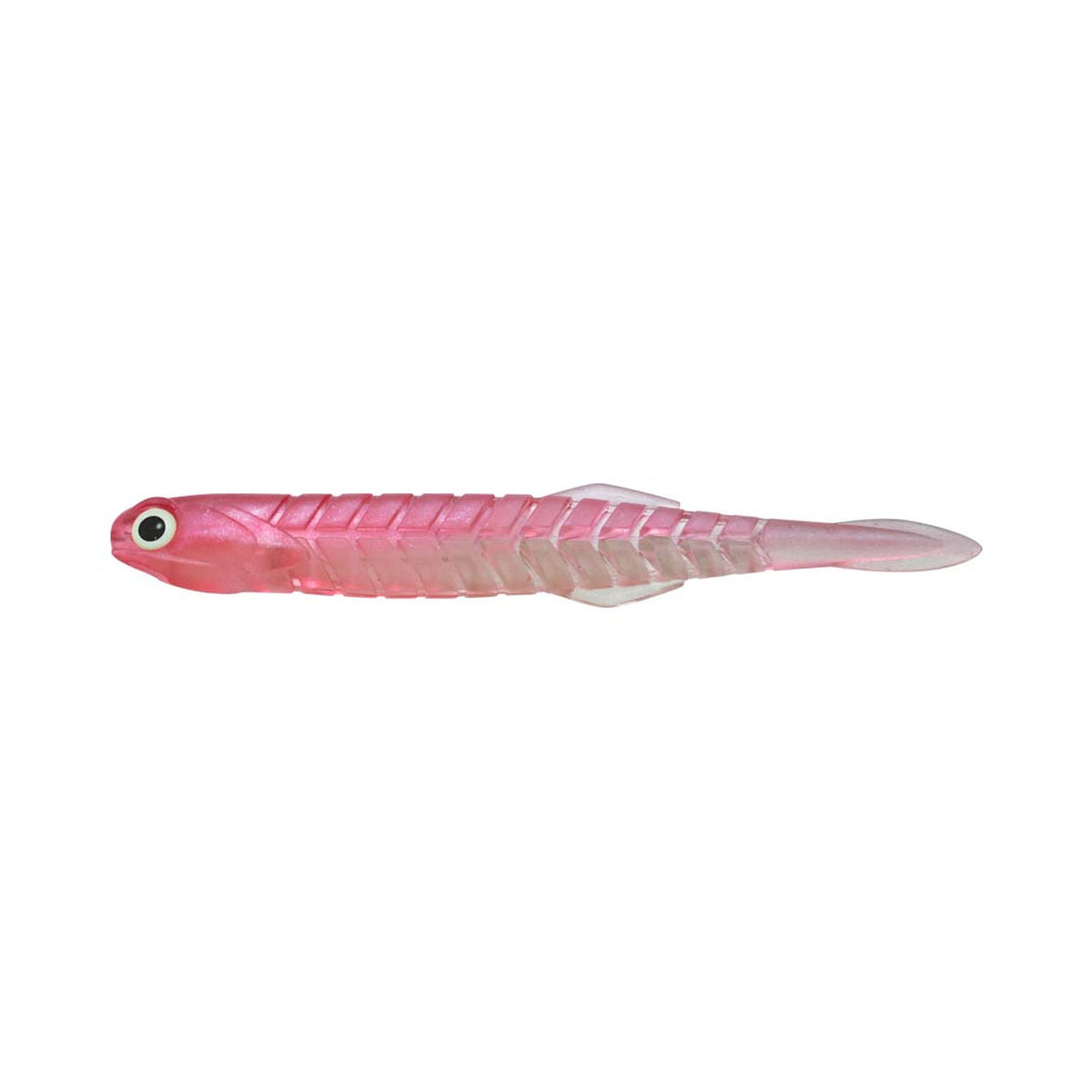 issei Katakuchi Worm Set Tachiuo 10g #050 Keimura Glow
