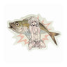 Horse Mackerel