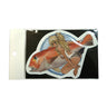 Fish Art Sticker - Tilefish
