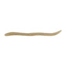 Gasagasa Striped Shrimp
