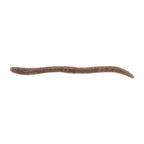 Jackall Flick Shake 500 4.8 in Kuwase Goby (Two-Tone) — official Jackall product photo