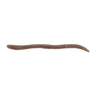 Kuwase Goby (Two-Tone)